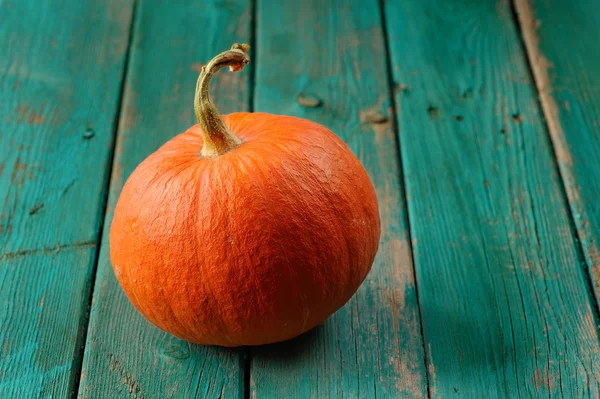 Whole orange pumpkin on turquoise wooden table copyspace