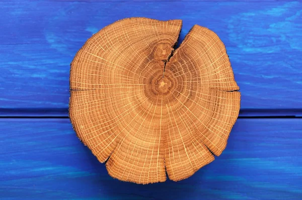 Oak split with bark on navy blue wooden table