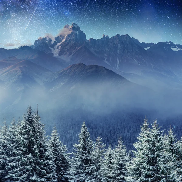 Starry sky in winter snowy night. Carpathians, Ukraine, Europe