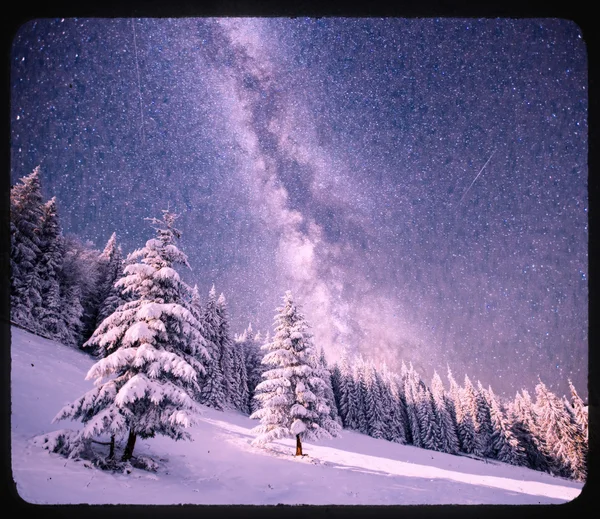 Magic tree in starry winter night