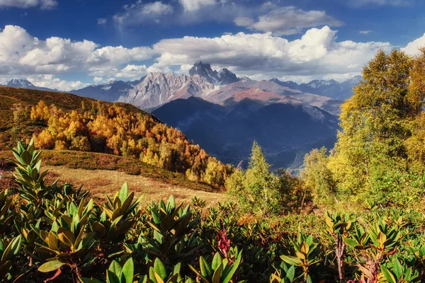 Magic autumn landscape and snow-capped mountain peaks. View of t