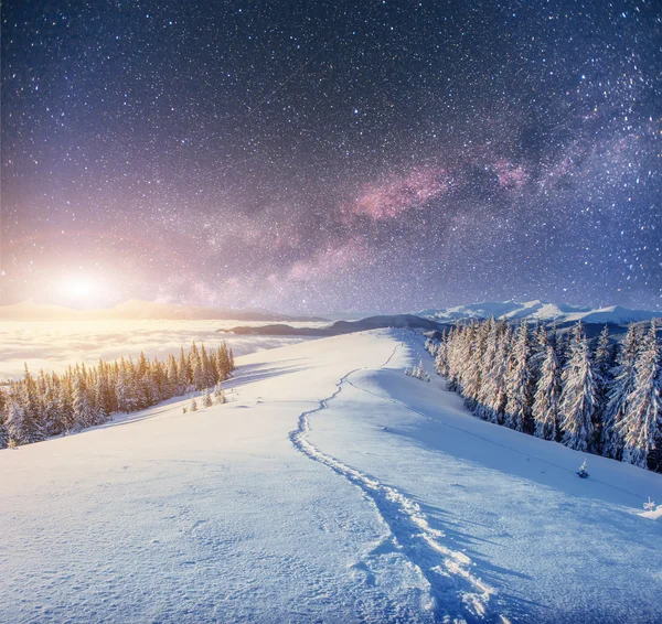 Starry sky in winter snowy night. fantastic milky way in the New