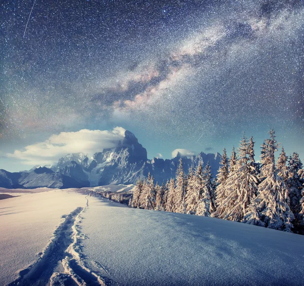 Starry sky in winter snowy night. fantastic milky way in the New