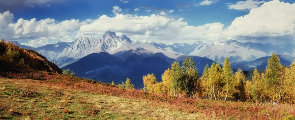 Autumn landscape and snowy mountain peaks. View of the mountain