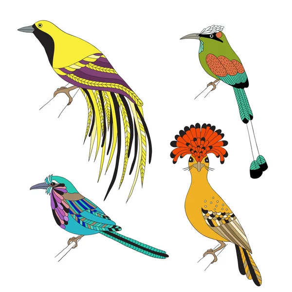 Set of tropical birds hand draw on a white background.