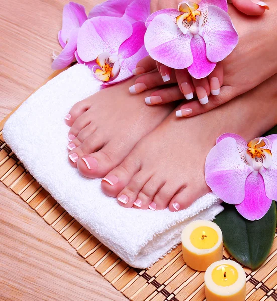 Nail care. French Manicure on Female Feet and Hands