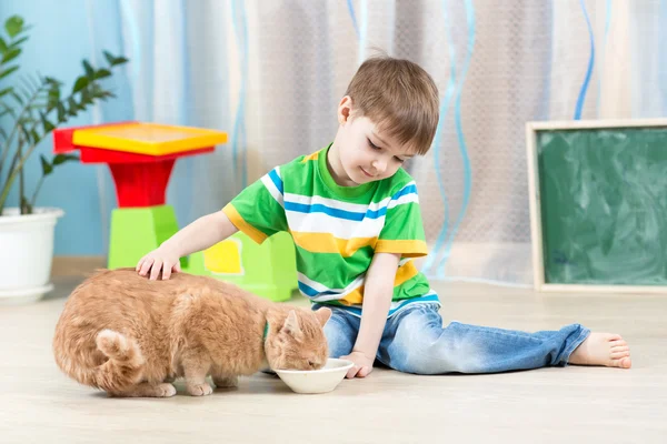 Child boy feeding red cat