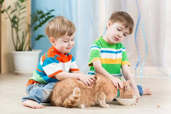 Children boys feeding red cat