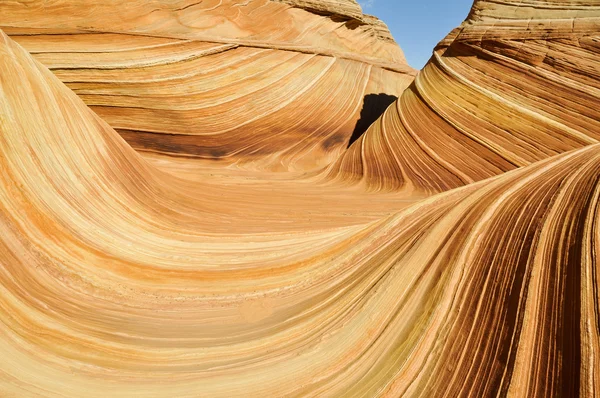 The Wave, sandstone in Coyote Buttes North (Arizona)