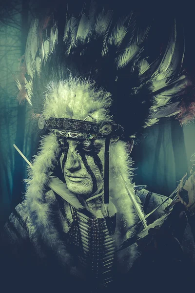 Indian warrior with feather headdress