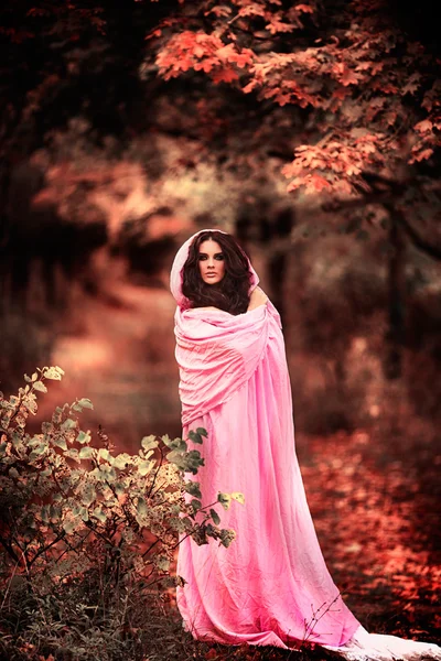 Girl in a pink dress with a cloak in the  forest