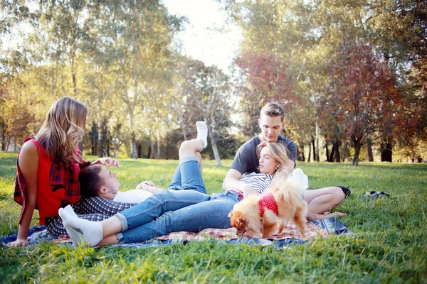Young people in autumn picnic
