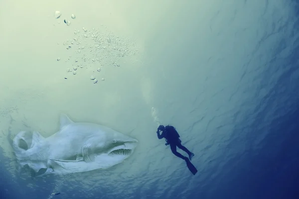 Unusual photo diver underwater