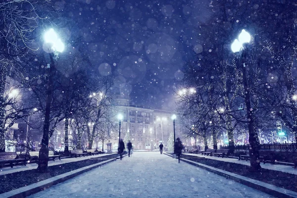 Night winter landscape in the alley