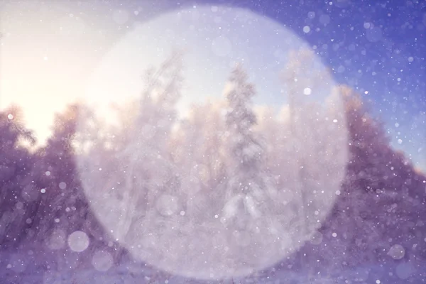 Blurred winter background