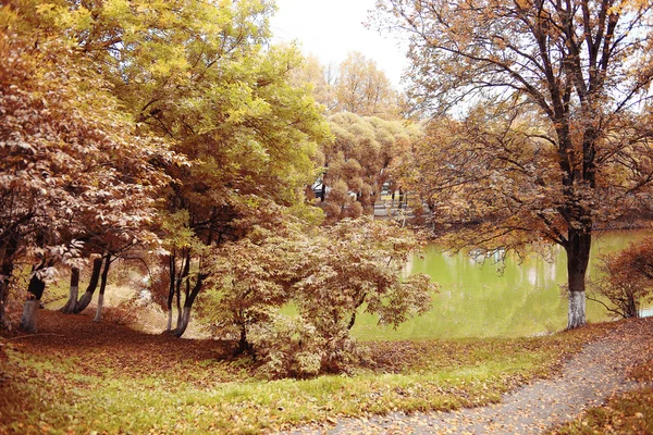 Landscape autumn path in the park