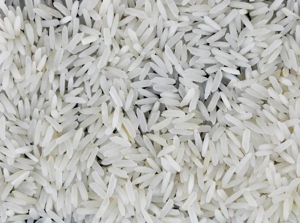 Rice grain , jasmine rice for background