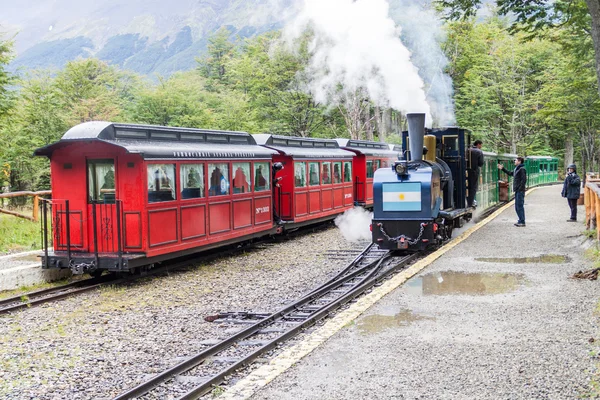 Tourist steam train