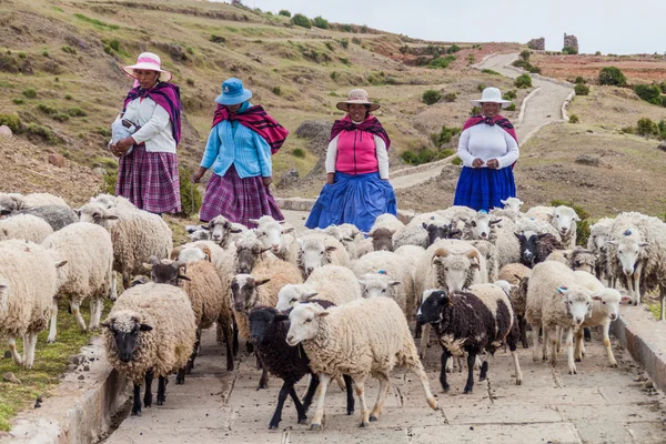 Native women with their sheep