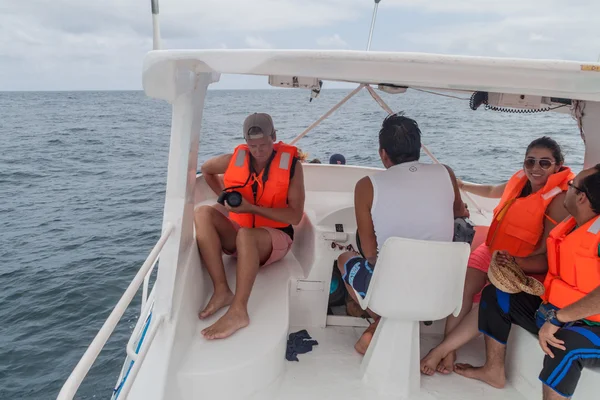 Tourist boat on whale watching tour