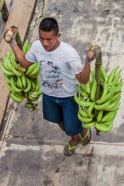 Cargo boat crew transports bunches of plantains