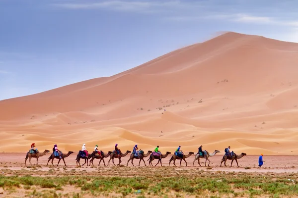 Camel caravan with tourists