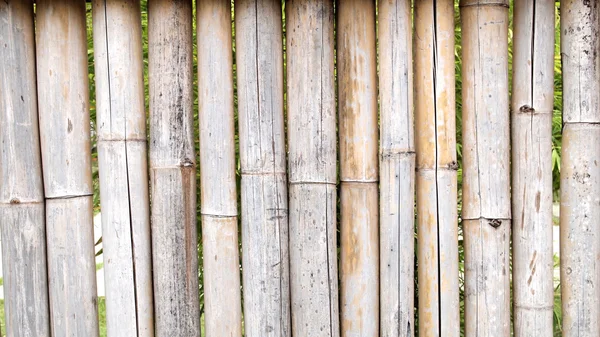 Bamboo fence close up