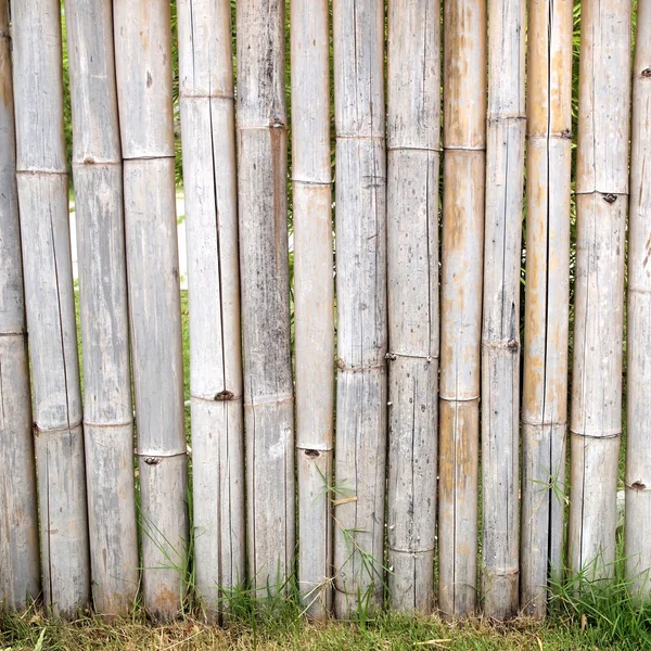 Bamboo fence close up