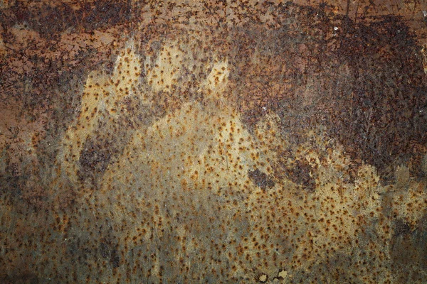 Traces left by brown bear on rusty metal door