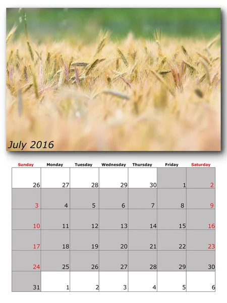 Nature calendar july