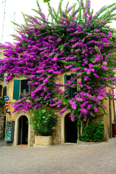 The building in purple flowers Garda