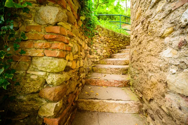 Stone stairs in garden