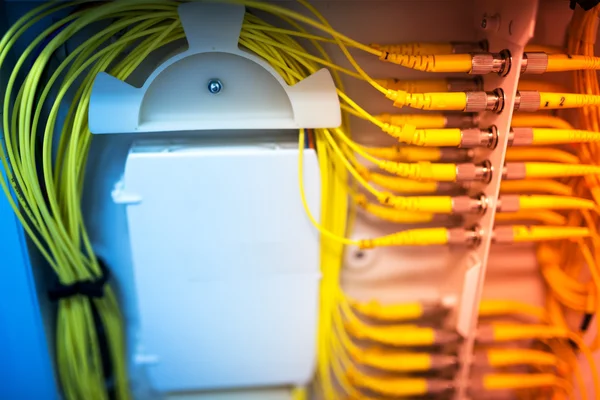 Fiber optic with servers in a technology data center