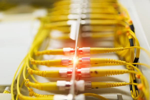 Fiber optic with servers in a technology data center