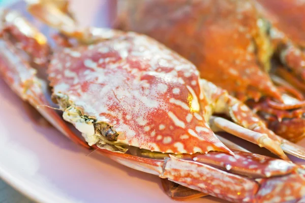 Crab sea food in soft light