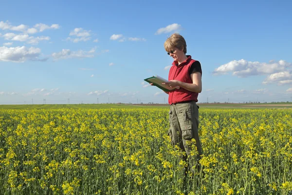 Agriculture, farmer or agronomist in oilseed field
