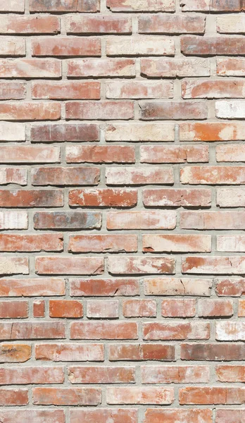 Background of brick wall in bright sunny day