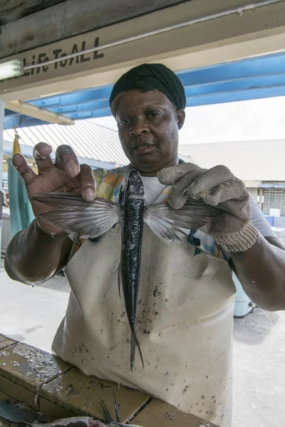 Lady Holding a Flying Fish by the Wings