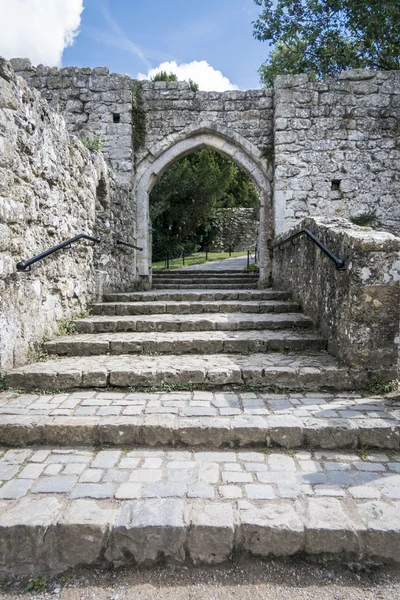 Stone Steps in Leeds Castle Grounds