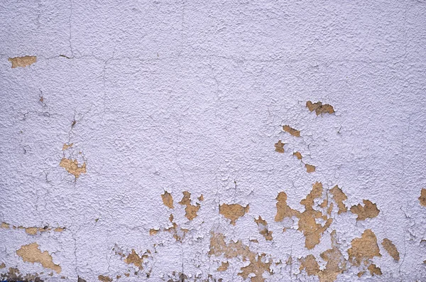 Urban wall texture