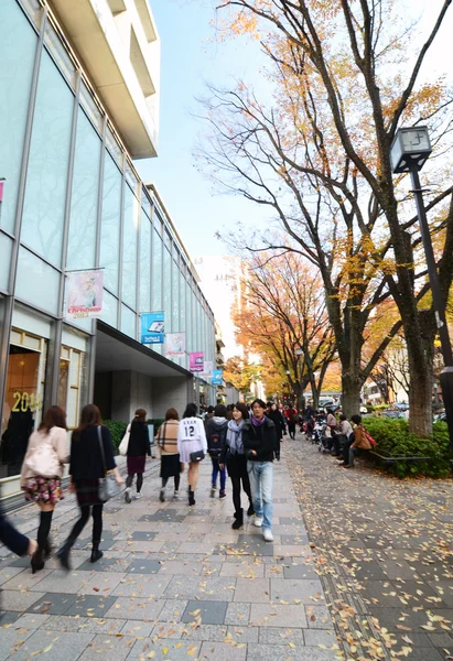 Tokyo, Japan - November 24, 2013: People shopping at Omotesando