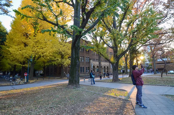 Tokyo, Japan - November 22, 2013: Students at University of Toky