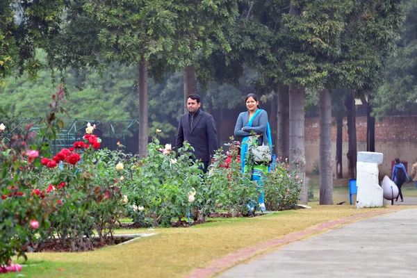 Chandigarh, India - January 4, 2015: Indian people visit Zakir Hussain Rose Garden in Chandigarh