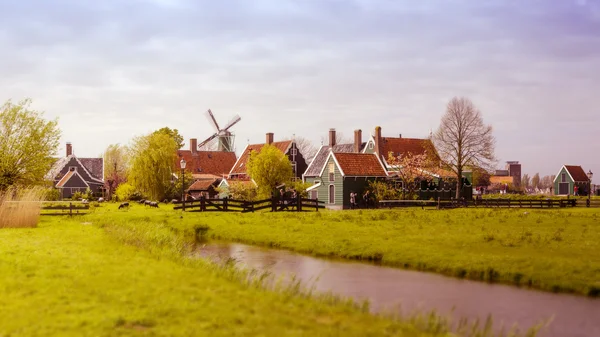Windmill and rural houses in Zaanse Schans. Tilt-shift effect.