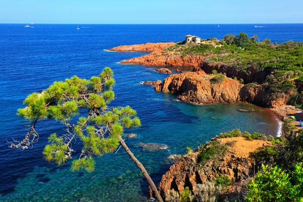 Esterel, tree, rocks beach coast and sea. Cote Azur, Provence, F