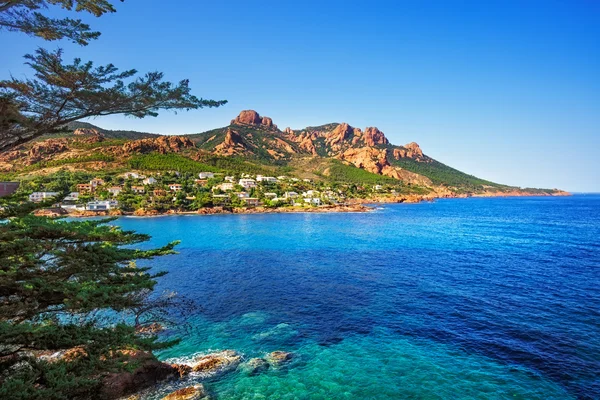 Esterel rocks beach coast, tree and sea. Cannes Saint Raphael Co