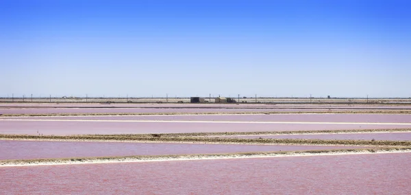 Camargue, Giraud pink salt flats landscape. Rhone, Provence, Fra