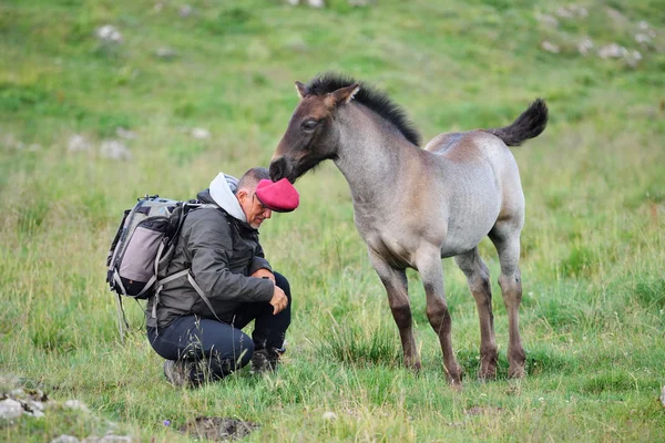 Photographer outdoor with horse