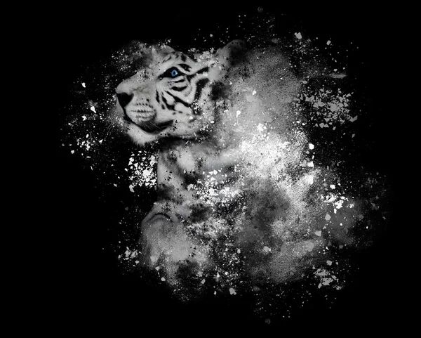White Bengal Tiger with Art Paint on Black
