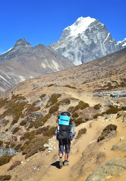 Hiker with backpack  in the himalayas
